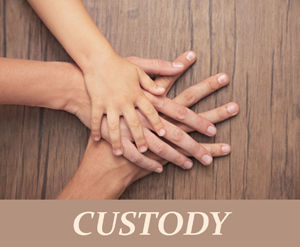 custody image with family holding hands